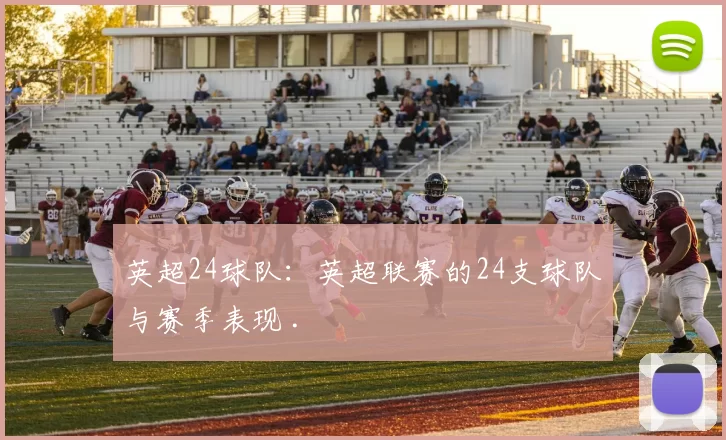 英超24球队:英超联赛的24支球队与赛季表现 .