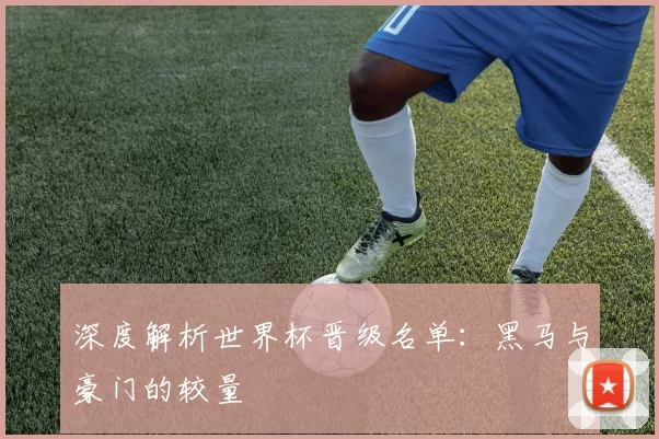 深度解析世界杯晋级名单:黑马与豪门的较量