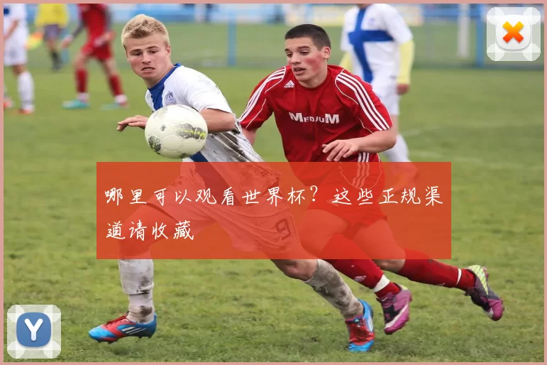 哪里可以观看世界杯?这些正规渠道请收藏