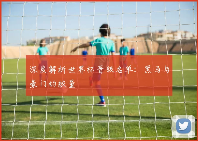 深度解析世界杯晋级名单:黑马与豪门的较量