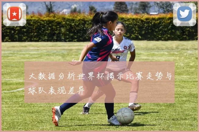 大数据分析世界杯揭示比赛走势与球队表现差异