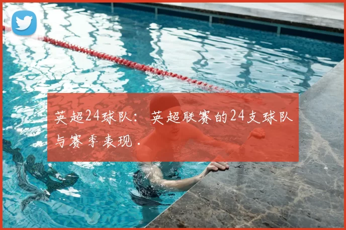 英超24球队:英超联赛的24支球队与赛季表现 .