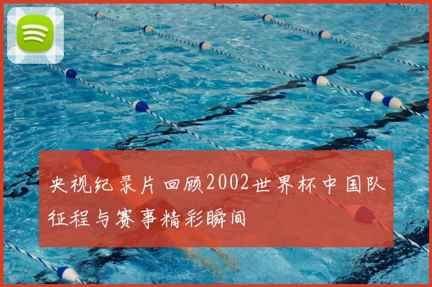 央视纪录片回顾2002世界杯中国队征程与赛事精彩瞬间