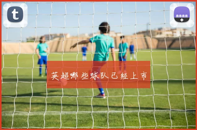 英超哪些球队已经上市