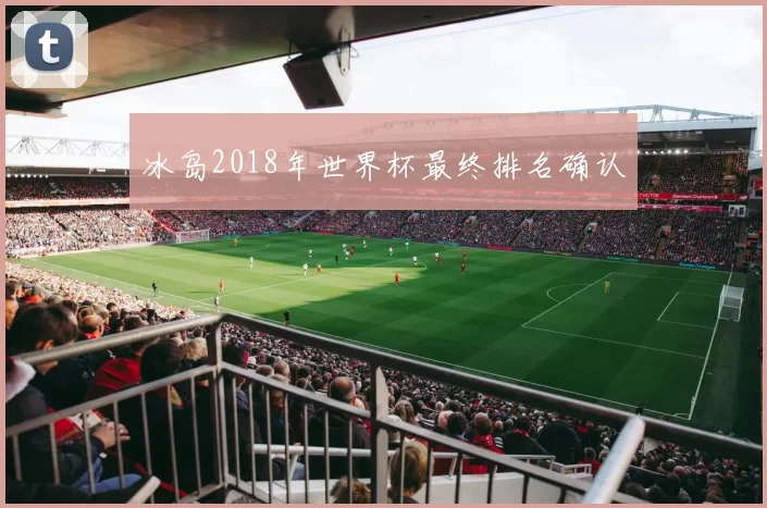 冰岛2018年世界杯最终排名确认