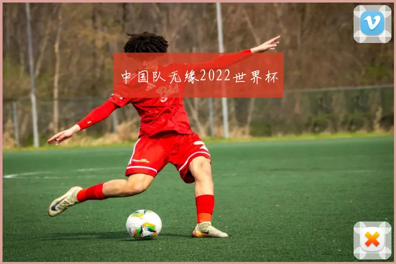 中国队无缘2022世界杯