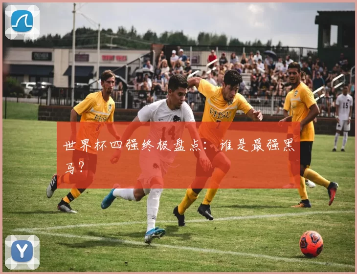 世界杯四强终极盘点：谁是最强黑马？