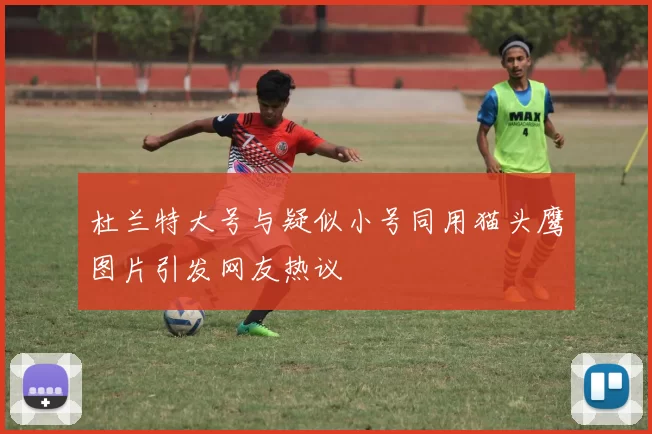 杜兰特大号与疑似小号同用猫头鹰图片引发网友热议